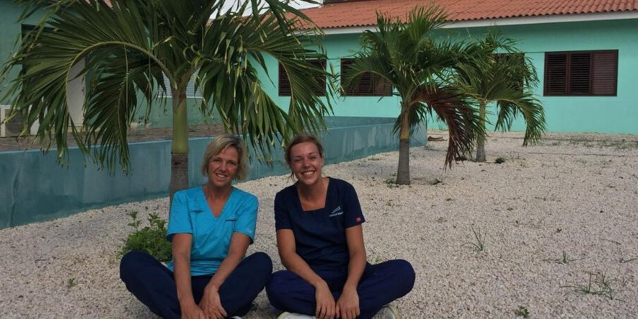 Blogpost-Jolienne-Kamer-1000×450-1